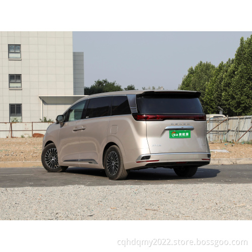 2023 Vendita calda di lusso Denza 7 posti MPV 600 km 4WD EV Nuovo veicolo energetico 4WD DENZA 5 porte